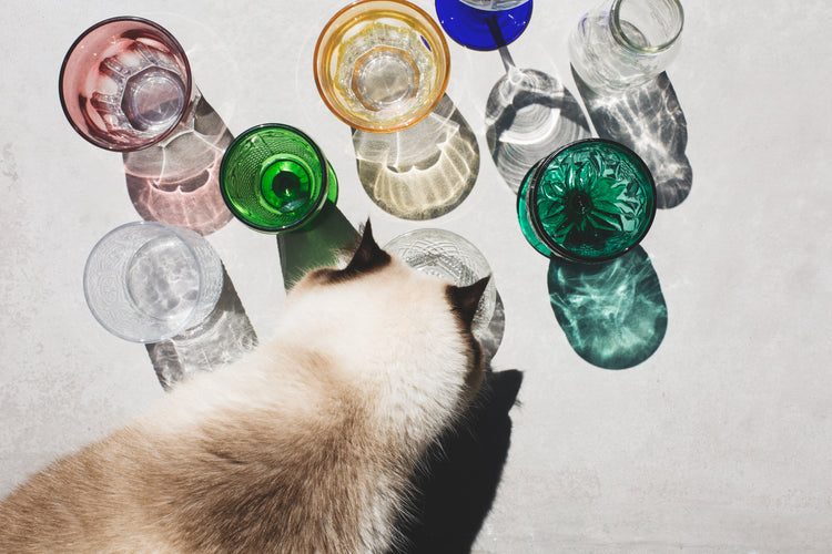 Drinkware